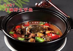 L687干锅野生甲鱼 副本