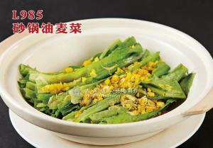 L985砂锅油麦菜 副本