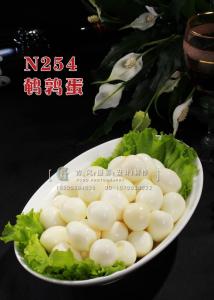 N254鹌鹑蛋 副本