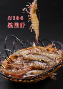 N164基围虾 副本