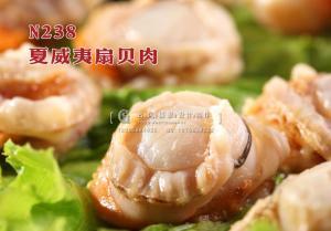 N238夏威夷扇贝肉 副本
