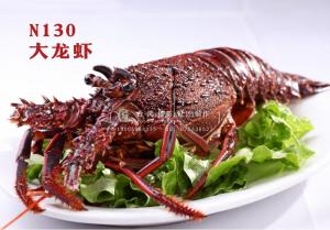 N130大龙虾 副本