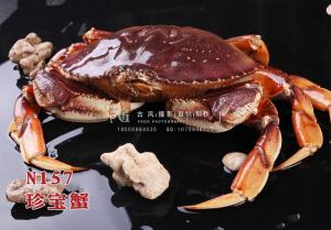 N157珍宝蟹 副本