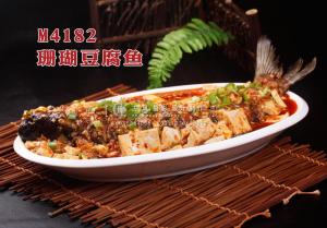 M4182珊瑚豆腐鱼 副本