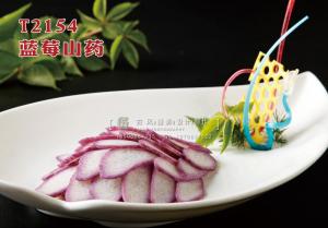 T2154蓝莓山药 副本