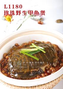 L1180珍珠野生甲鱼煲 副本