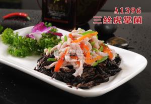 A1396三丝虎掌菌 副本