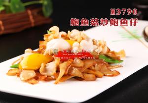 M3790鲍鱼菇炒鲍鱼仔 副本