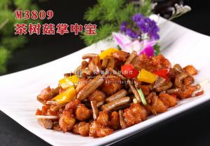 M3809茶树菇掌中宝 副本