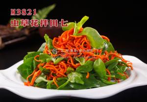 M3821虫草花拌田七 副本