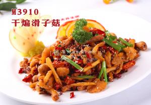 M3910干煸滑子菇 副本