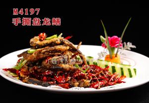 M4197手撕盘龙鳝 副本