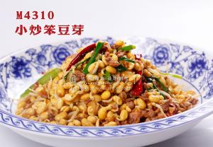 M4310小炒笨豆芽 副本