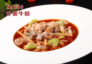 M4380仔姜牛蛙 副本