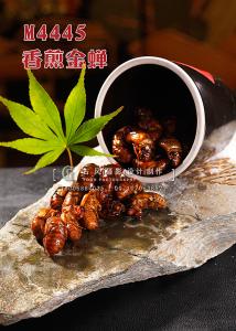 M4445香煎金蝉 副本