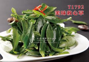 T1792美味救心草 副本