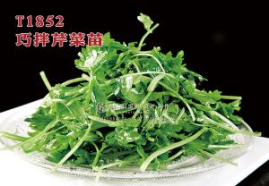 T1852巧拌芹菜苗 副本