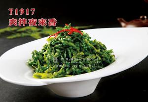 T1917爽拌夜来香 副本