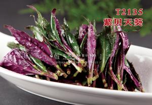 T2135紫贝天葵 副本