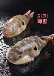 Z131河豚 副本