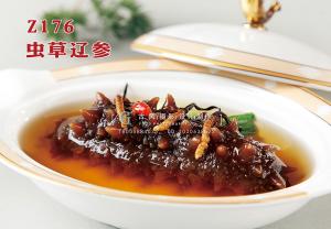Z176虫草辽参 副本