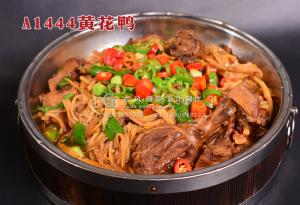 A1444黄花鸭 副本