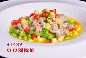 A1489豆豆圈圈蛙