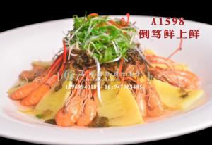 A1598倒笃鲜上鲜