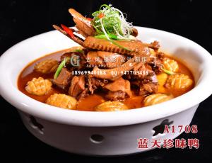 A1708蓝天珍味鸭