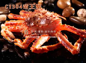 C1304帝王蟹