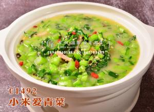 C1492小米爱青菜