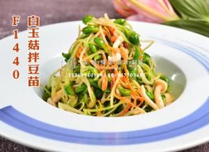F1440白玉菇拌豆苗