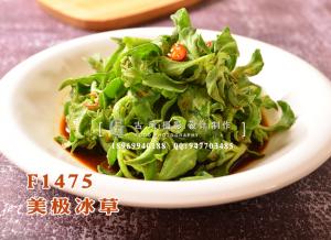 F1475美极冰草-(1)
