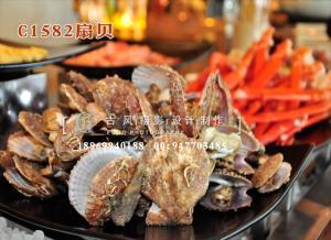 C1582扇贝-(2)