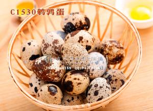C1530鹌鹑蛋