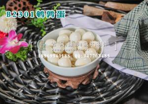B2301鹌鹑蛋