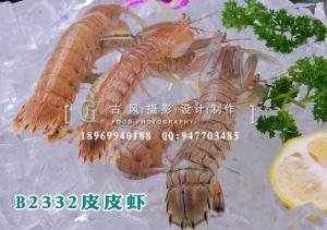 B2332皮皮虾