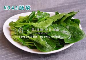 N342菠菜