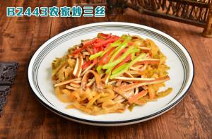 B2443农家炒三丝