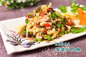 B2844雪菜八爪鱼