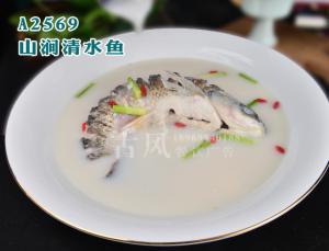 A2569山涧清水鱼