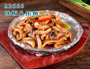 A2666铁板八爪鱼