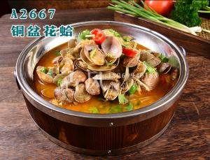A2667铜盆花蛤