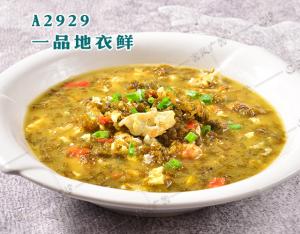 A2929一品地衣鲜