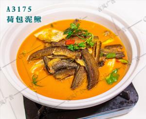 A3175荷包泥鳅