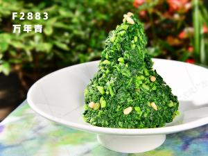 F2883万年青