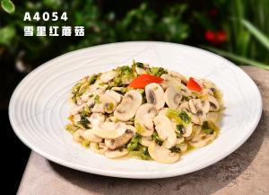 A4054雪里红蘑菇