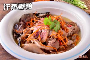 B2656汗蒸野鸭 (3)