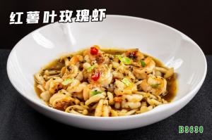 B3630红薯叶玫瑰虾