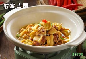 B3708农家土鸡